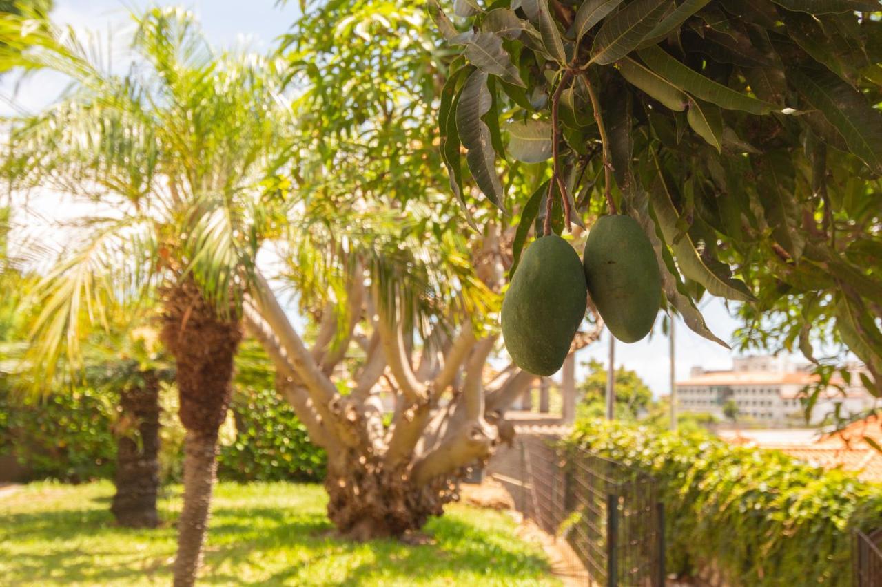 Pilar House Villa Funchal  Exteriör bild